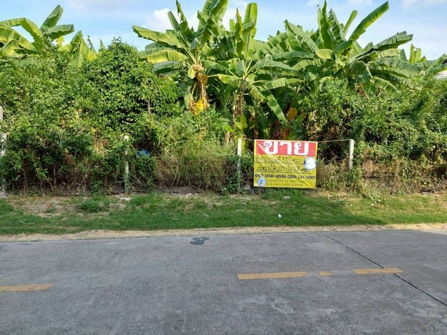 ขายที่ดินถมแล้ว 315 ตร.วา รามอินทรา61 แยก8 หมู่บ้านสวัสดิการทห