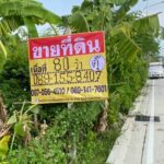 ขายที่ดิน 80 ตร.วา สวยแปลงมุม ซ.จตุรโชคชัย1 ใกล้วัดหลวงพ่อโต บา