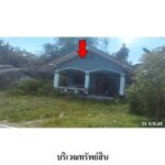 ขายบ้านเดี่ยว ถ.สายบ้านเกาะศพ-เกาะสัก ต.โคกทราย อ.ป่าบอน จ.พัทลุง