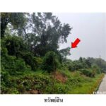 ขายที่ดินโครงการ ชวนชื่นนครินทร์ ต.น้ำน้อย อ.หาดใหญ่ สงขลา