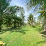 ขายที่ดินสวย อำเภอหัวหิน ทับใต้ จังหวัดประจวบฯ 24 ไร่ 1งาน 73 ตาร