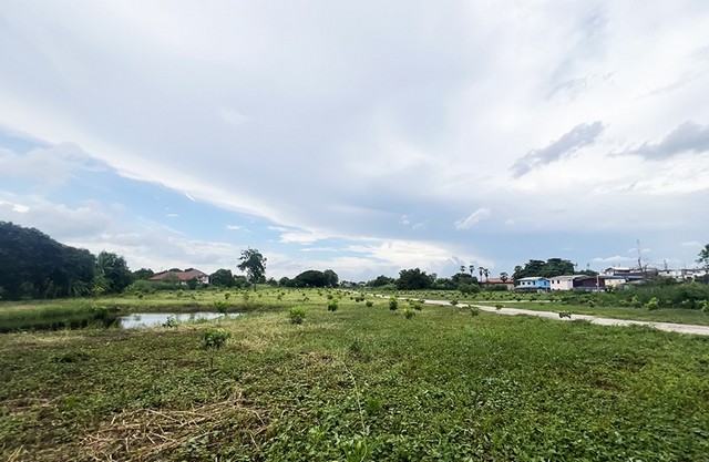 ขายที่ดินว่างเปล่ามือสอง อำเภอเมืองปทุมธานี ปทุมธานี