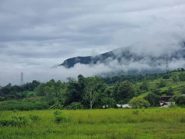 ขายที่ดินสวยเขาค้อ 5 ไร่ 32 ตร.วา ราคา 35 ล้านบาท วิวภูเขา