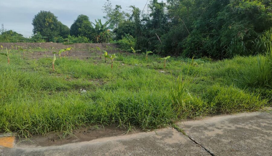 ขายที่ดิน 268 ตรว. ติดมหาวิทยาลัยรังสิต, สถานีรถไฟฟ้าหลักหก จ.ปทุ
