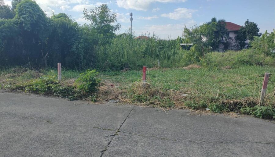 ขายที่ดิน 57.5 ตรว. ติดถนนหน้าหมู่บ้านโดมทอง อ.เมืองปทุมธานี