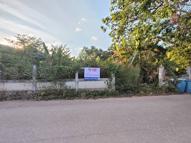 ขายที่ดินเ ใกล้ ชายหาดแหลมแม่พิมพ์ Land for Sale at Mae Phim Bea