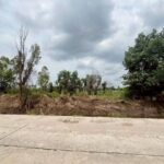 ขายที่ดินพานทองชลบุรี พื้นที่ 1 ไร่