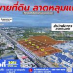 ขายที่ดินลาดหลุมแก้ว 30 ไร่ ติดถนน 346 ปทุมธานี-บางเลน ติดสํานักอ