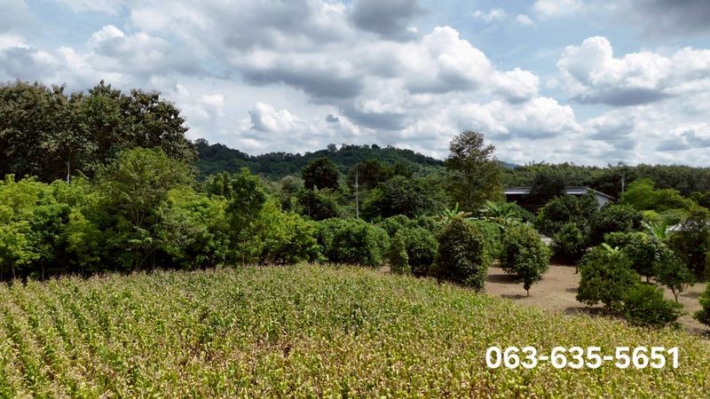 ขายที่สวยวิวเขาไม่ต้องถม โฉนดครุฑแดง ต.ชะอม อ.แก่งคอย จ.สระบุรี