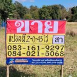 ขายที่ดินราคาถูก ทำเลดี 2-0-43 ไร่ หนองไผ่ ชุมแพ ขอนแก่น