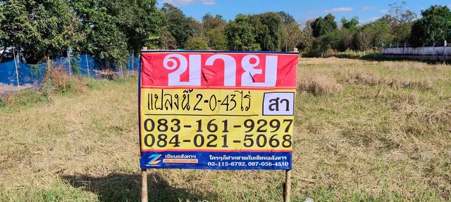 ขายที่ดินราคาถูก ทำเลดี 2-0-43 ไร่ หนองไผ่ ชุมแพ ขอนแก่น