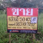 ขายที่ดินเปล่าราคาถูก 50วา เย็นจิตร ซอย9 บ้านคลอง เมืองพิษณุโ