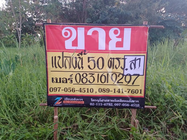 ขายที่ดินเปล่าราคาถูก 50วา เย็นจิตร ซอย9 บ้านคลอง เมืองพิษณุโ