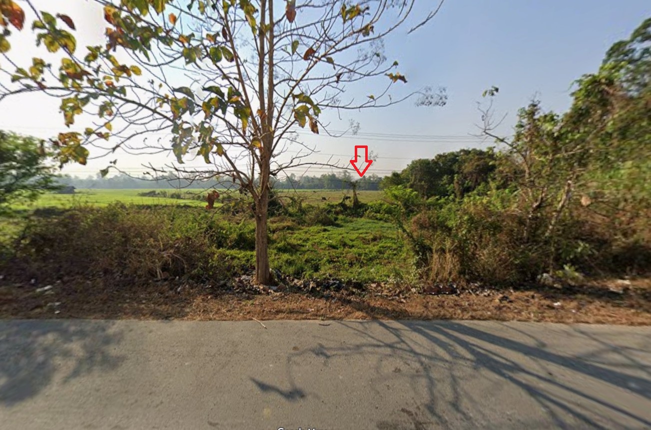 ที่ดินเชียงใหม่ ดอยสะเก็ด ติดถนนใหญ่ทำเลดี เจ้าของขายเอง