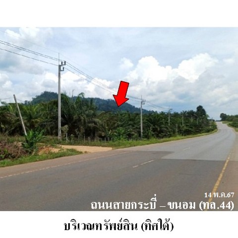 ขายที่ดินว่างเปล่า ต.บางสวรรค์ อ.พระแสง จ.สุราษฎร์ธานี