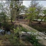 ขายด่วน ที่ดินผังสีส้ม เมืองฉะเชิงเทรา บางพระ ใกล้โรบินสัน, เมก้า