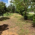 ขายที่ดินเชียงคาน 3 ไร่ ติดถนน–ติดริมน้ำโขง ทำเลหายาก วิวหลักล้าน