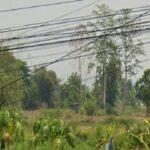 ขายที่ดินเปล่า เนื้อที่ 17-0-55 ไร่ สันทราย เชียงใหม่