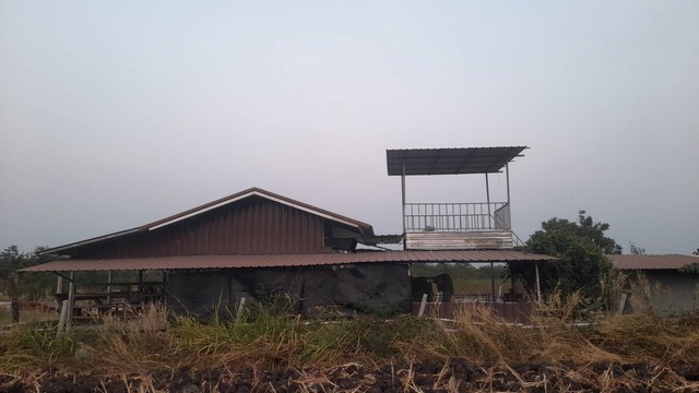 ขายที่ดินพร้อมบ้านสวน อำเภอพัฒนานิคม จังหวัดลพบุรี