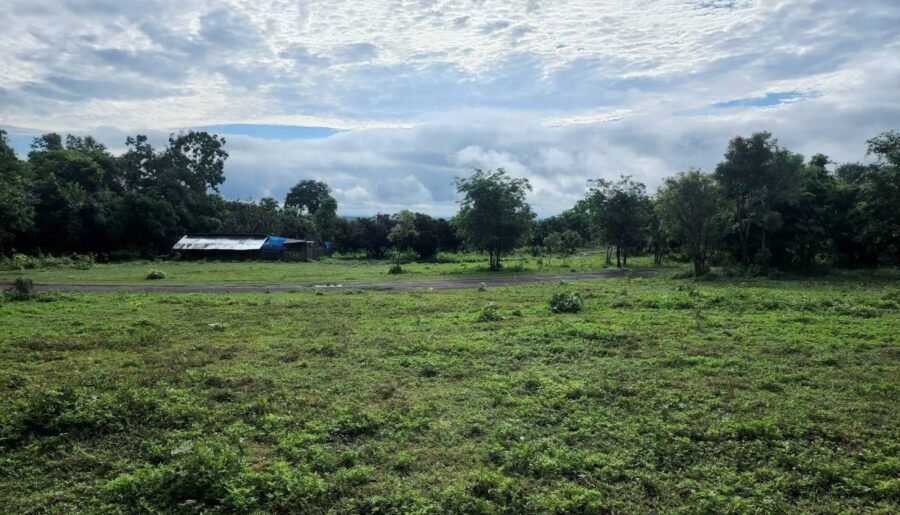 ขายที่ดิน 118ไร่2งาน 47ล. น้ำบาดาล ไฟฟ้า ทุ่งปี้ แม่วาง เชียงใหม่