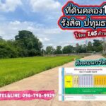 ที่ดินสวย ทำเลทอง ติดถนนคอนกรีต ที่ดินคลอง11 รังสิต