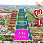 ที่ดินคลอง 10 รังสิต ปทุมธานี ไร่ละ 1.2 ล้าน