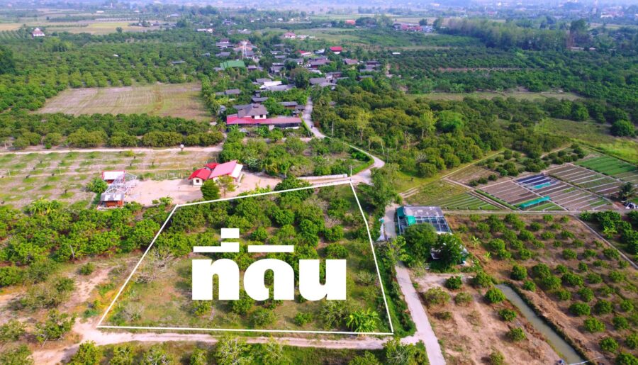ขายที่ดินแบ่งเริ่ม 200ว. 480,000บ. ต.ทุ่งปี้ อ.แม่วาง เชียงใหม่