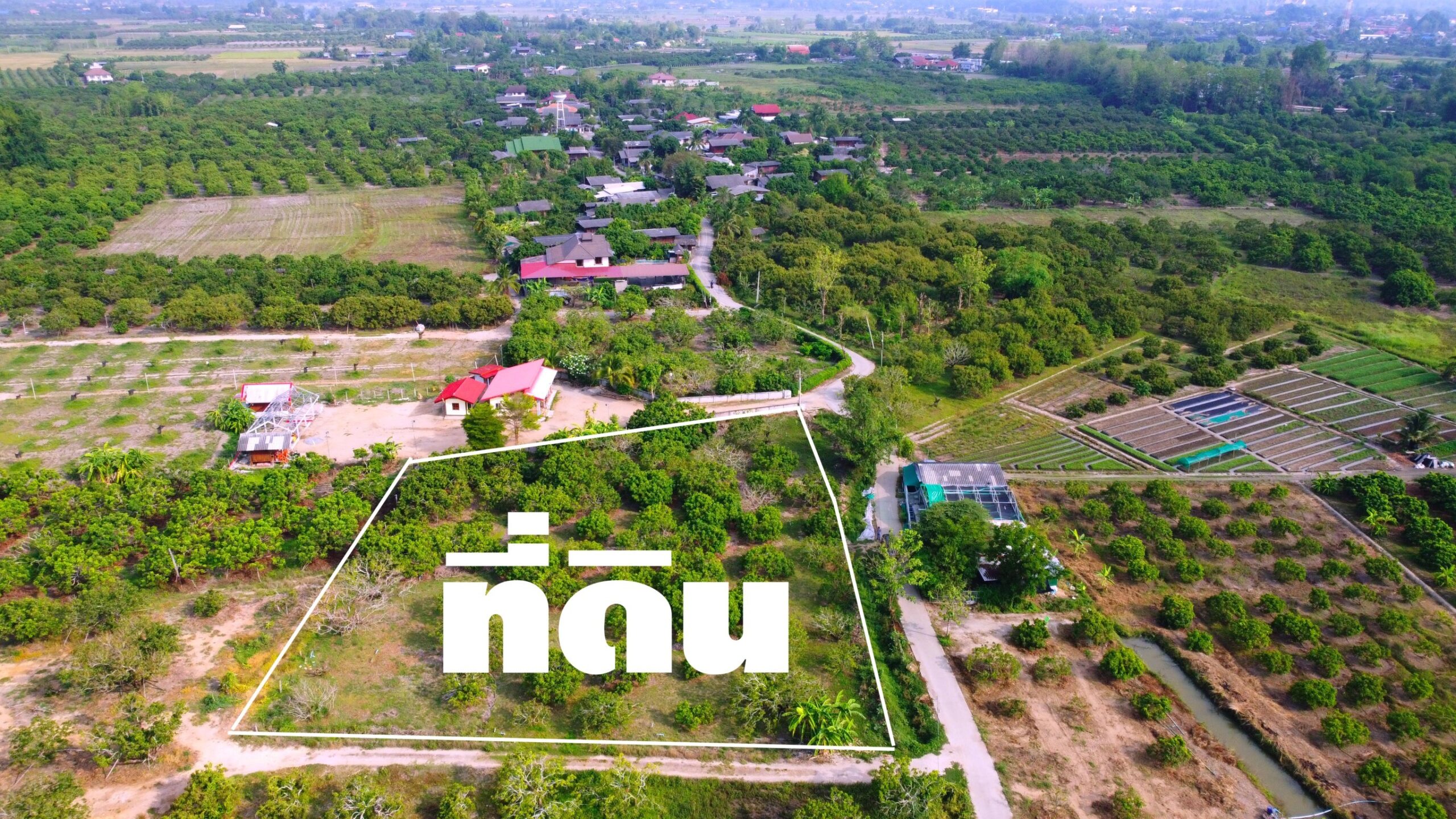 ขายที่ดินแบ่งเริ่ม 200ว. 480,000บ. ต.ทุ่งปี้ อ.แม่วาง เชียงใหม่