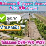 ที่ดินทำเลทองคลอง8 ลำลูกกา ปทุมธานี 1 ไร่
