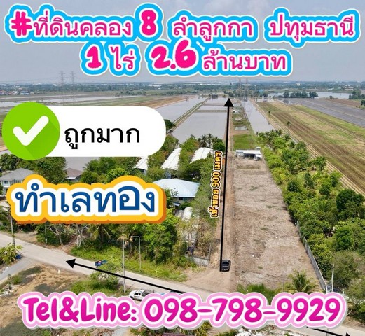 ที่ดินทำเลทองคลอง8 ลำลูกกา ปทุมธานี 1 ไร่