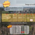 ขายที่ดิน97ว.288,000บ. ฟรีโอน ต.โคกตูม อ.เมือง ลพบุรี