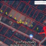 ขายที่ดิน347ว.700,000บ.ถนน น้ำไฟ บ้านสันทราย ต.บ้านธิ ลำพูน