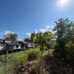 ขายที่ดินเปล่า ซอยพระยาสุเรนทร์ 16 แยก 1-6