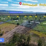 ขายที่ดินเริ่ม 1ไร่ 195,000บ.ฟรีโอน ต.นิยมชัย สระโบสถ์ ลพบุรี
