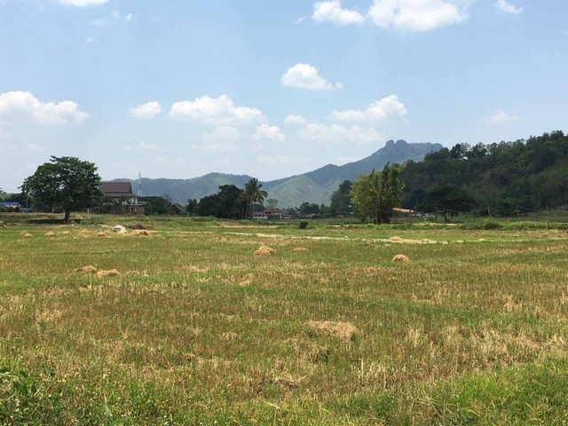 ขายที่ดิน 5ไร่8ว.2ล.ที่นาเชิงดอย ต.เมืองปาน เมืองปาน ลำปาง