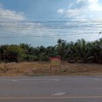 ขายที่ดิน 200 วา ทำเลดี ติดถนน นางตะเคียน เมืองสมุทรสงคราม