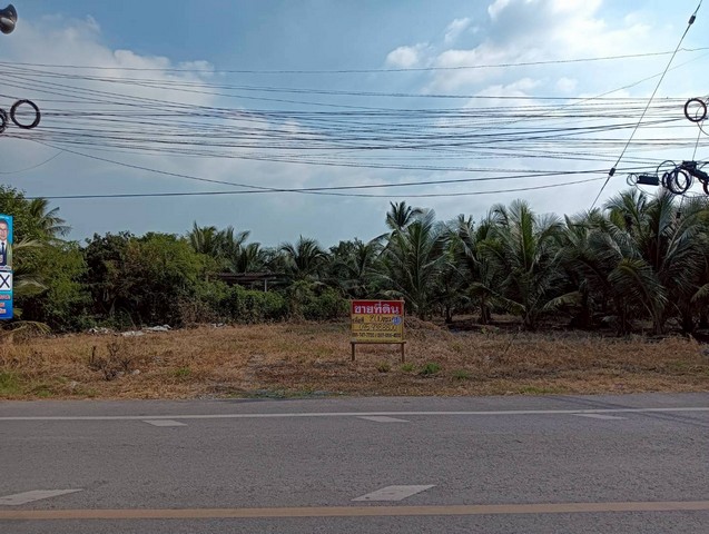 ขายที่ดิน 200 วา ทำเลดี ติดถนน นางตะเคียน เมืองสมุทรสงคราม