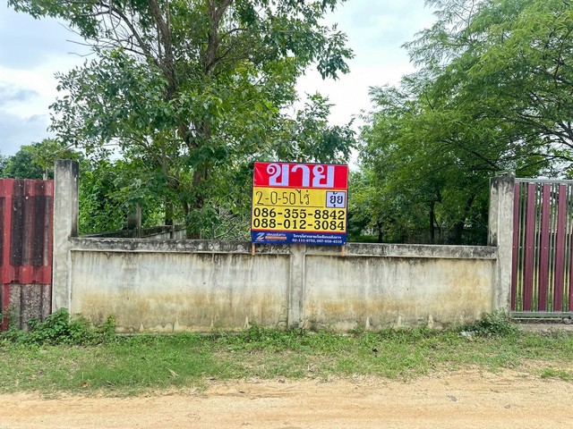 ขายที่ดิน 2-0-50 ไร่ ซอยทุ่งกลม-ตาลหมัน ห้วยใหญ่ ชลบุรี