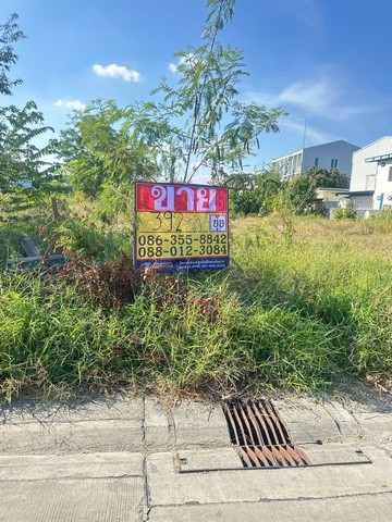 ขายที่ดิน 392 ตารางวา ถนนเฉลิมพระเกียรติร.9 ซอย 48 แยก7