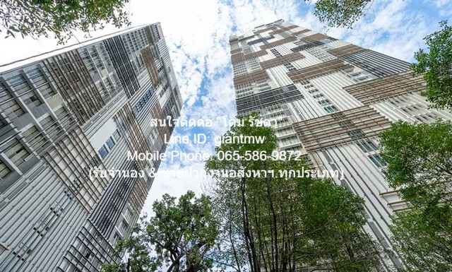 ให้เช่าคอนโดหรูระดับไฮเอนด์ “พาร์ค ออริจิ้น พร้อมพงษ์”