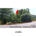 ขายบ้านเดี่ยว ต.ธาตุ อ.เชียงคาน จ.เลย