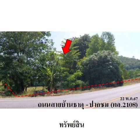 ขายบ้านเดี่ยว ต.ธาตุ อ.เชียงคาน จ.เลย