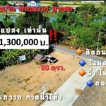 ขายที่ดิน80ว.1.3ลบ. แปลงมุม บ้านถวาย ต.ขุนคง หางดง เชียงใหม่