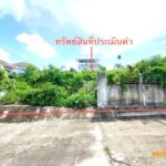 ขาย ที่ดิน สุราษฎร์ธานี อำเภอ เกาะสมุย จังหวัด สุราษฎร์ธานี