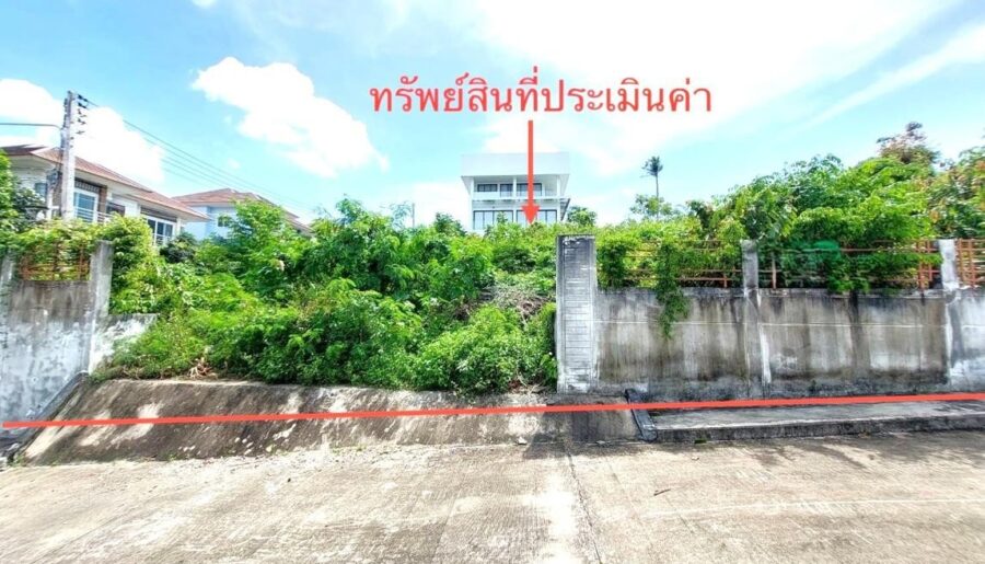 ขาย ที่ดิน สุราษฎร์ธานี อำเภอ เกาะสมุย จังหวัด สุราษฎร์ธานี