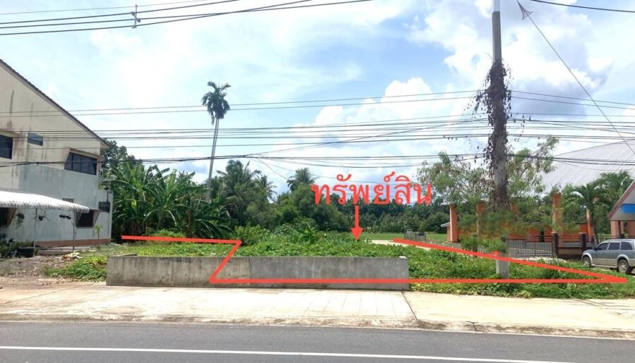 ขาย ที่ดิน สุราษฎร์ธานี อำเภอ กาญจนดิษฐ์ จังหวัด สุราษฎร์ธานี