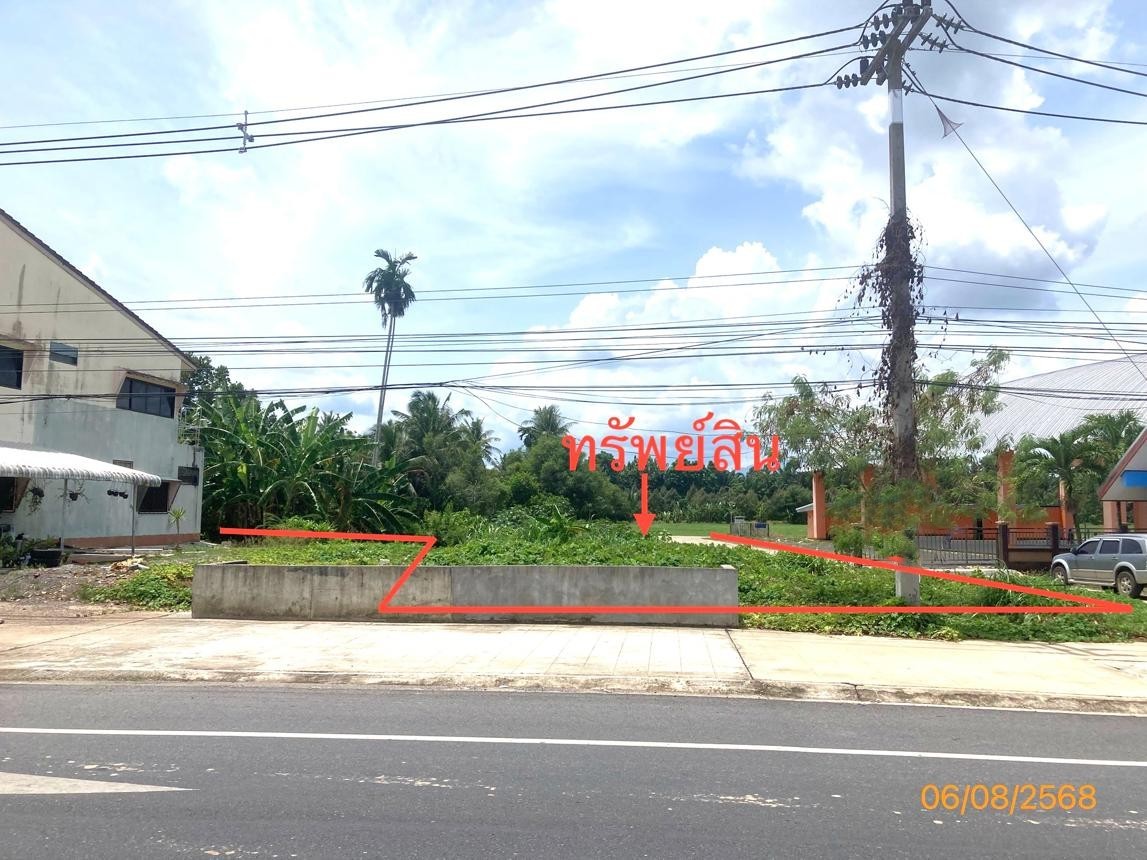 ขาย ที่ดิน สุราษฎร์ธานี อำเภอ กาญจนดิษฐ์ จังหวัด สุราษฎร์ธานี