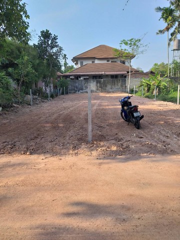 ขายที่ดินทำเลดี ซอยอัมพวัน ซ.10 ใกล้วัดม่วง – หาดใหญ่