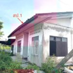 ขาย บ้านเดี่ยว สุราษฎร์ธานี อำเภอ กาญจนดิษฐ์ จังหวัด สุราษฎร์ธาน