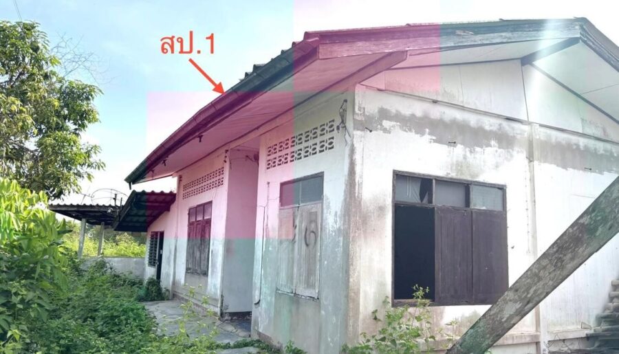 ขาย บ้านเดี่ยว สุราษฎร์ธานี อำเภอ กาญจนดิษฐ์ จังหวัด สุราษฎร์ธาน